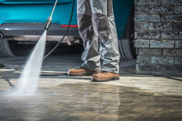 Best Driveway Pressure Washing  in San Diego, TX