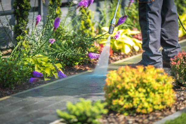 Best Driveway Pressure Washing  in San Diego, TX